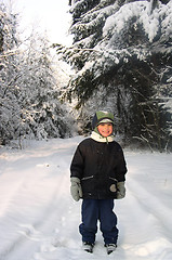 Image showing Boy in Winter