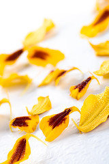 Image showing marigold flowers petals