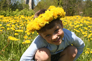 Image showing Kid and Dandelions