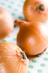 Image showing ripe onions