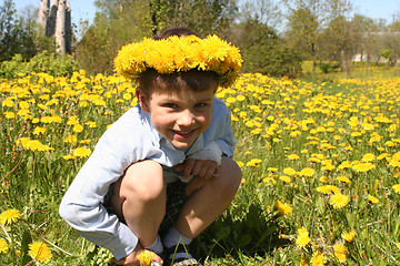 Image showing Kid and Dandelions