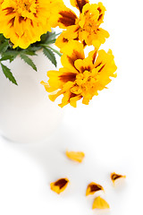 Image showing marigold flowers in vase 