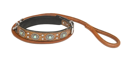 Image showing Two dog collars