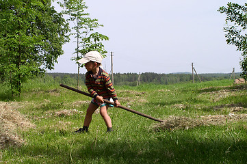 Image showing Child in Work