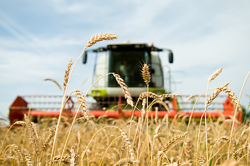 Image showing ripe wheat with combine at background in field