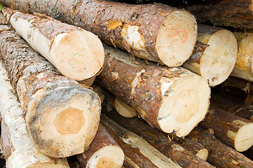 Image showing wood timber