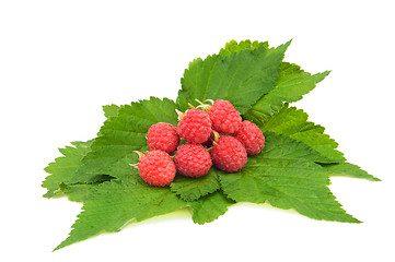 Image showing red raspberries on leaves isolated