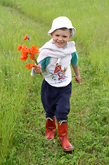 Image showing Bpy with Flowers