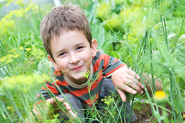 Image showing happy boy outdoors