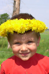 Image showing Child and Dandelions