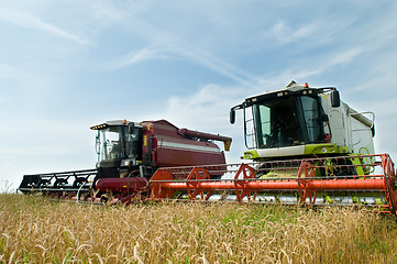 Image showing Two working harvesting combines