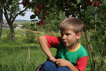 Image showing Child in Nature