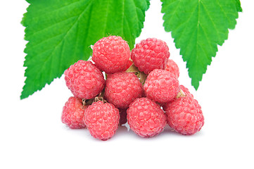 Image showing red raspberries and leaves isolated