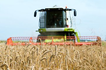 Image showing cereals field and combine at background