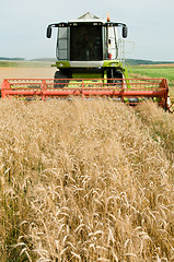 Image showing harvesting combine in the wheat field