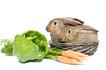 Image showing two rabbits in a basket and vegetables