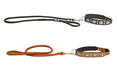 Image showing two dog collar with leash