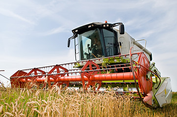 Image showing harvesting combine in the wheat field