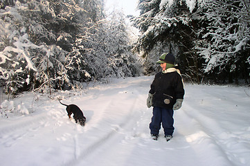 Image showing Winter Scene