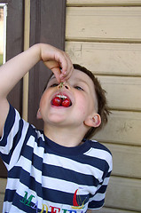 Image showing Child Eating Cherries