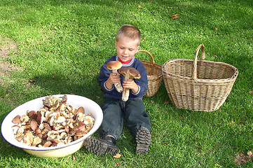 Image showing Child and Nature