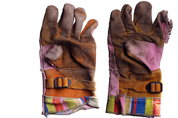 Image showing Work Gloves