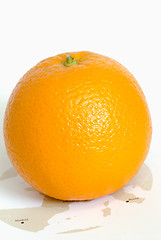 Image showing Orange