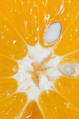 Image showing Orange