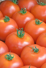 Image showing Tomato