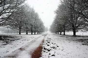 Image showing Winter snow road