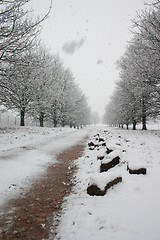 Image showing Snow path