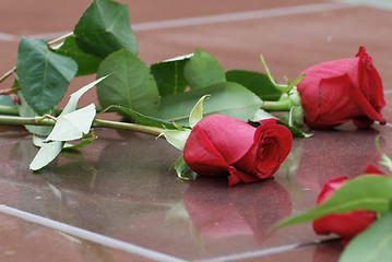 Image showing Roses