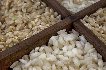 Image showing four rice grains abstract with focus on arborio