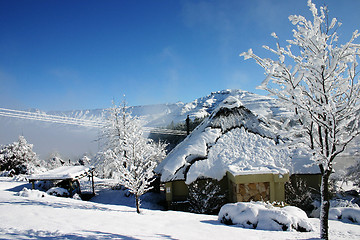 Image showing Snow covered lodges