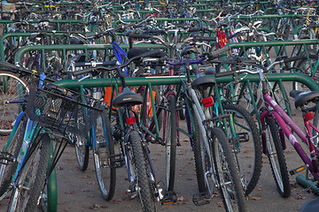 Image showing bicycle parking at university campus