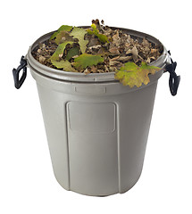 Image showing dry leaves in a plastic garbage bin