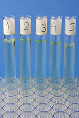 Image showing laboratory glass testing tubes 