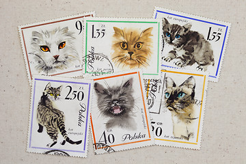 Image showing cats - set of vintage post stamps from Poland