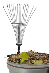 Image showing trash bin, dry leaves and rake