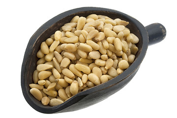 Image showing scoop of pine nuts