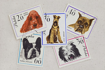 Image showing dogs on vintage post stamps from Poland