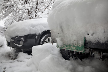 Image showing cars covered by snow after winter storm