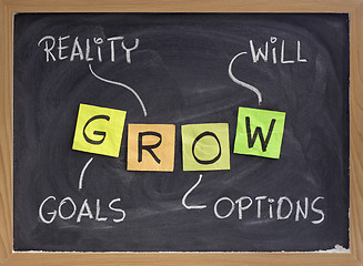 Image showing goals, reality, options, will 