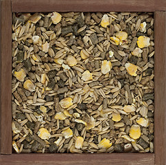 Image showing horse feed with corn, barley, oats grain and suplement 