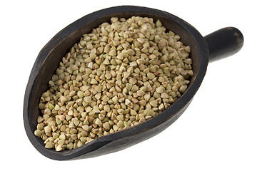 Image showing scoop of buckwheat groats