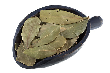 Image showing scoop of dried bay leaves