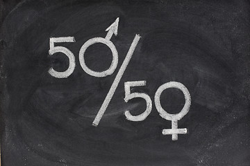 Image showing gender equal opportunity or representation