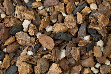 Image showing orchid bark mix