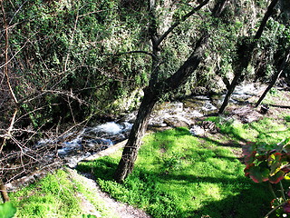 Image showing Watching the river flow. Kakopetria. Cyprus