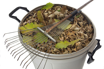 Image showing rake and dry leaves in garbage bin